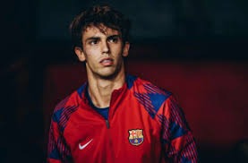 五项数据创新高，场均10+5+2，合同仅为2年526万，猛龙挖宝成功！