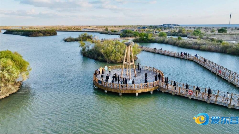 是对田径精 是对田径精